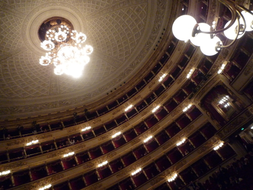P1030293.JPG