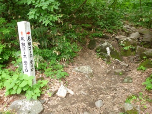 登山口.JPG