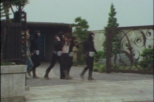 PDVD_011.jpg