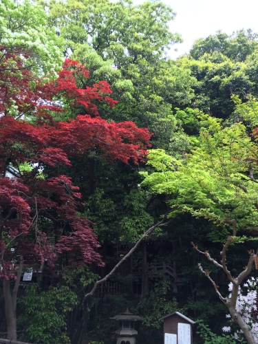 201504261601_9584_iphone.jpg