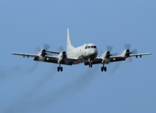 IMG_6024 (400x289).jpg