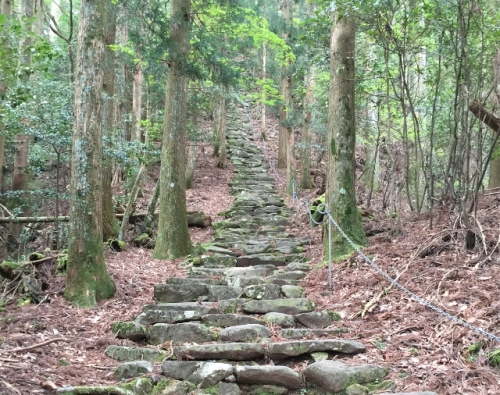 IMG_6469 (640x506).jpg