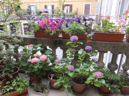 21 mercoledi terazzo.jpg