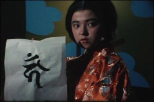 PDVD_012.jpg