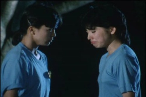 PDVD_008.jpg