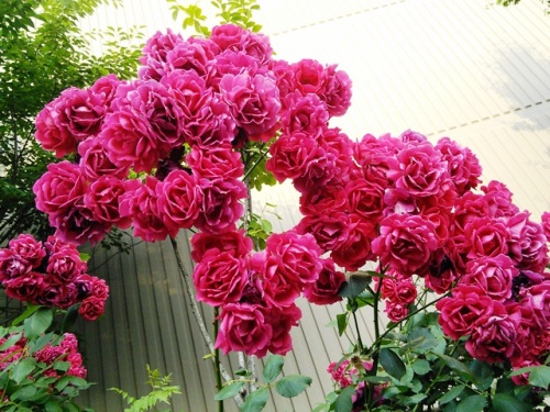 2015-06-07 18.29.53.jpg