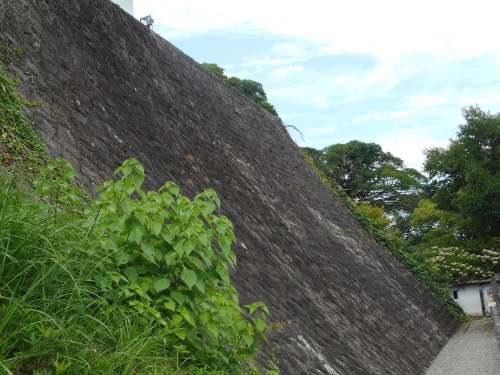 掛川城本丸石垣.JPG