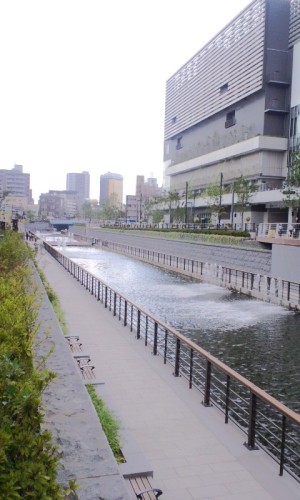 PAP_0019.JPG