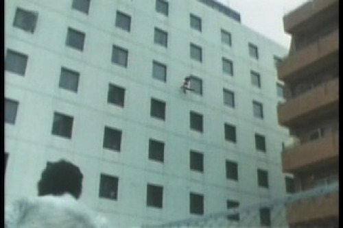 PDVD_031.jpg
