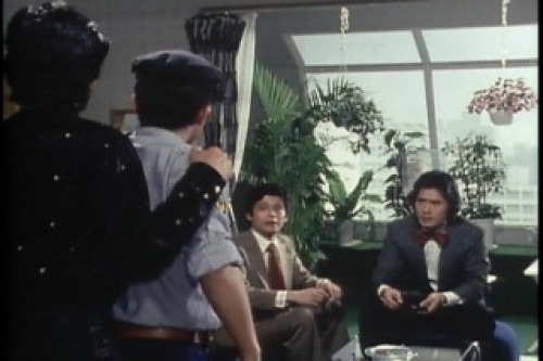 PDVD_005.jpg