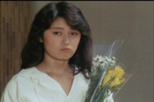 PDVD_034.jpg