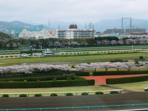DSCF7651.JPG