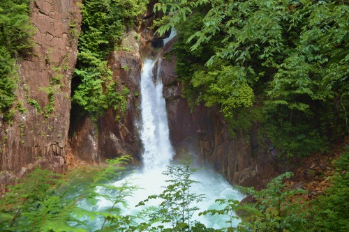 DSC_0119.JPG