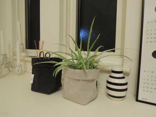 DSCN2706.JPG