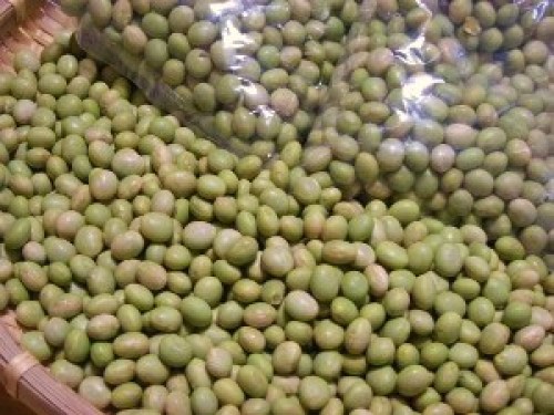 DSCN3916 (300x225).jpg