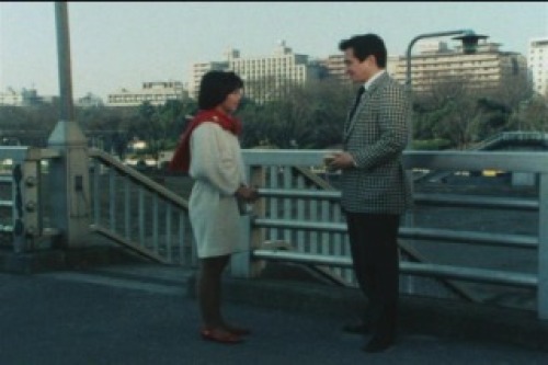 PDVD_028.jpg