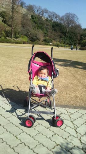 20120330_081221.jpg