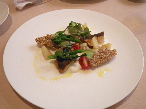 IMGP3142.jpg