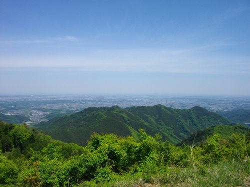 奥高尾縦走路景信山都心方面.JPG