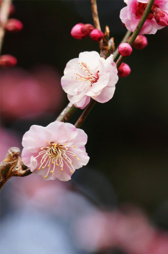 2013.03.01.02.jpg