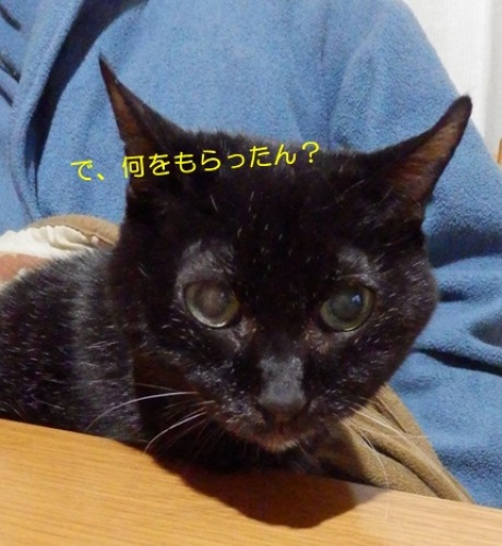 20141212_2.jpg