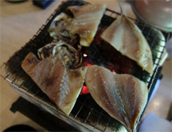土佐山79.jpg