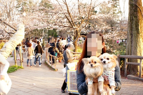 yomotsuku20140329-4.JPG