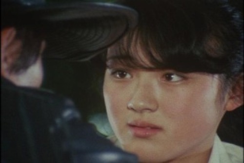 PDVD_013.jpg