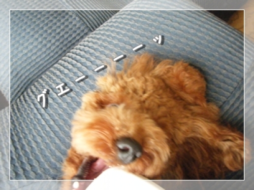 DSCF4846.JPG