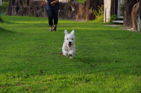 IMGP0982.jpg