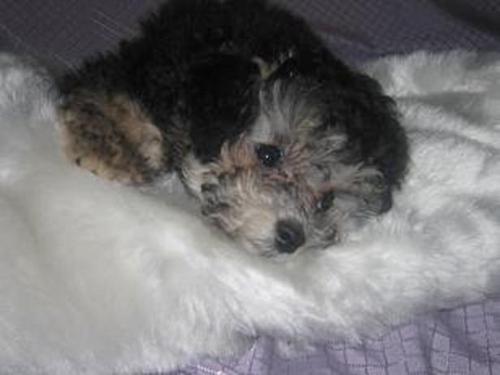 20120219a.jpg