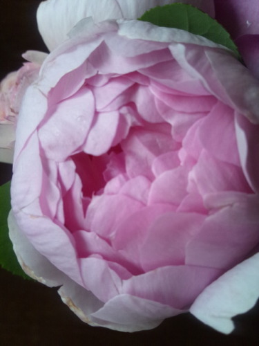 140506_172343.jpg