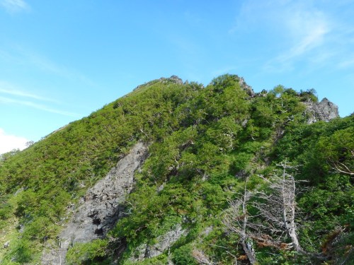 北岳左股より八本歯のコルの頭.JPG