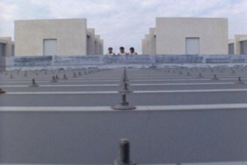 PDVD_001.jpg