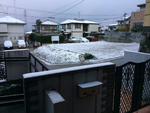 1601朝雪００.jpg