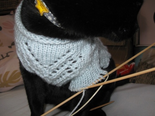 猫のセーター8.jpg