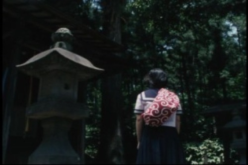 PDVD_015.jpg