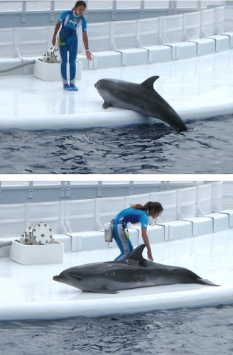 水族館12.jpg