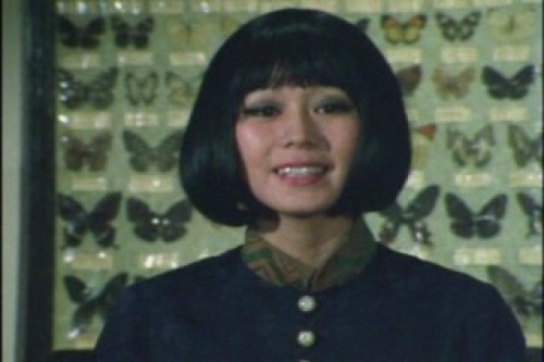 PDVD_053.jpg