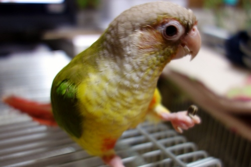 DSC02257 (800x533).jpg