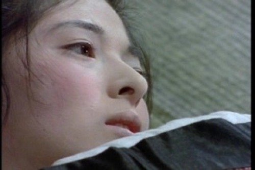 PDVD_008.jpg