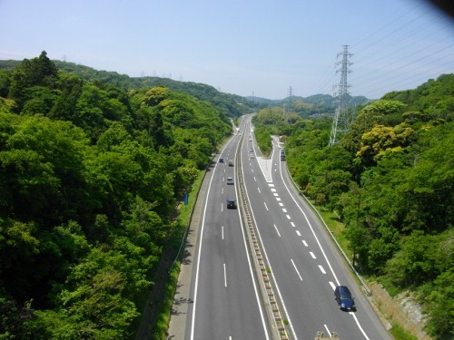 大楠山 (25) (500x375).jpg