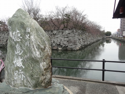 9阿波の青石.jpg