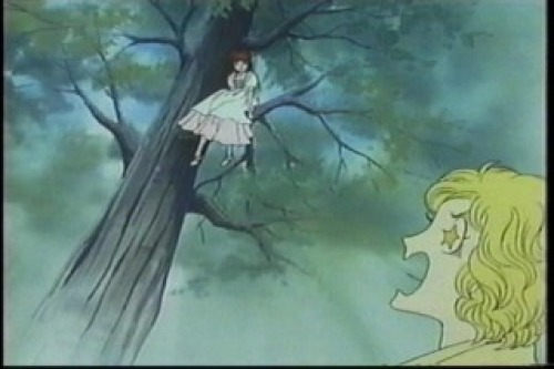 PDVD_022.jpg