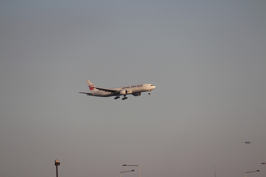 JAL B777-200（東京港野鳥公園）