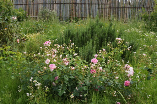 DSC02805.JPG