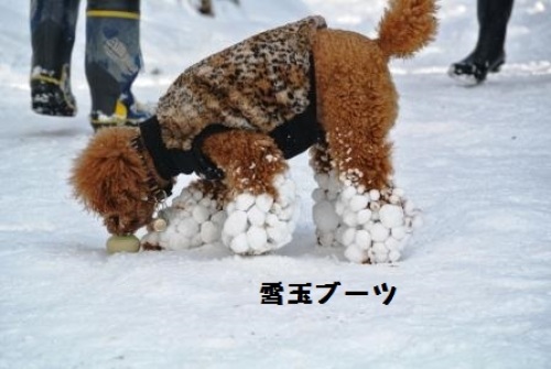 みんなで雪遊び (110).JPG