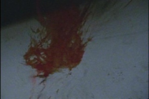 PDVD_026.jpg