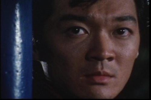 PDVD_028.jpg