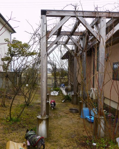雨中探梅3.jpg